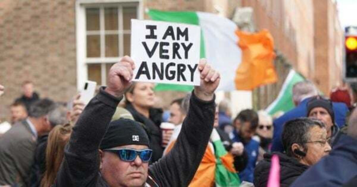 Several arrests after demonstrators bring mock gallows to Leinster House protest - Vimarsana News