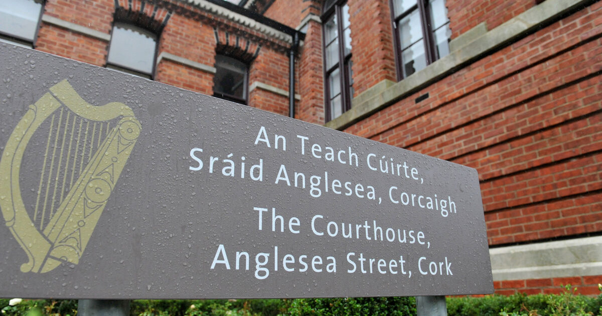 Man arrested for suspected burglary at bakery tells garda 'I didn't get much in there' - Vimarsana News
