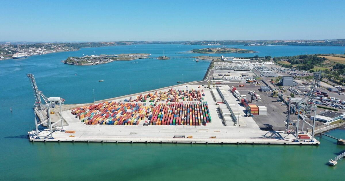 'Bumper' first year of operations for Port of Cork's terminal in Ringaskiddy - Vimarsana News