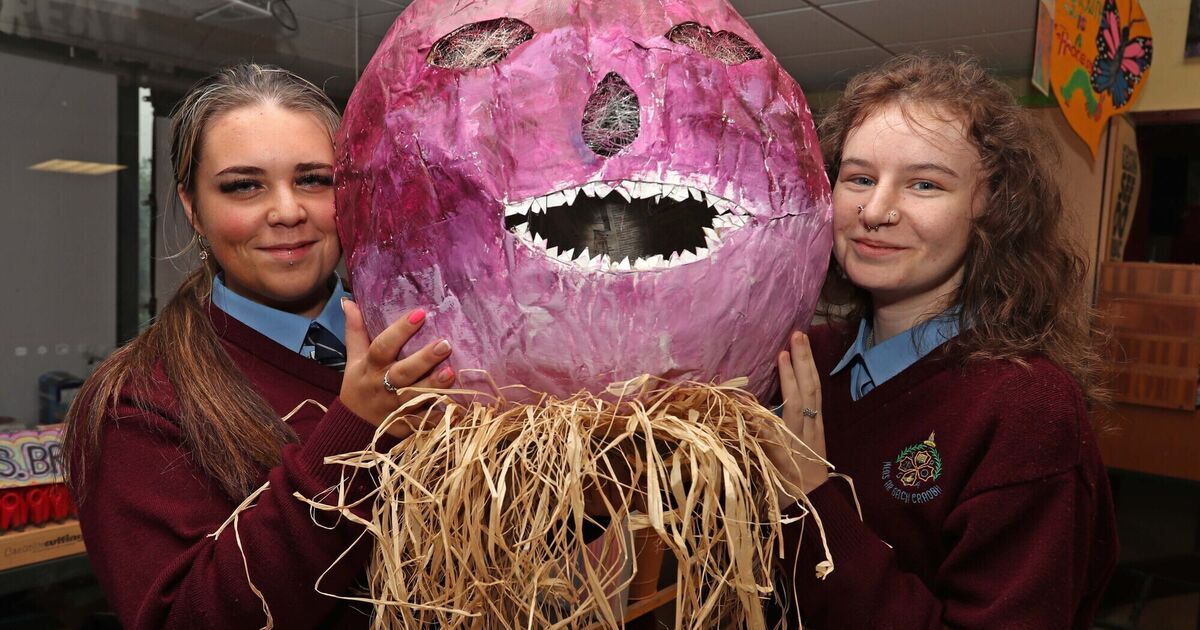 Pictures: Cork city school opens its doors to pupils from eight primary schools - Vimarsana News