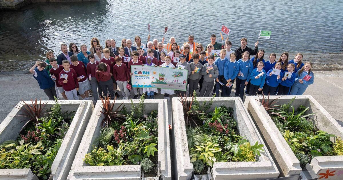 Green drainage system to purify rainwater unveiled in Cobh - Vimarsana News