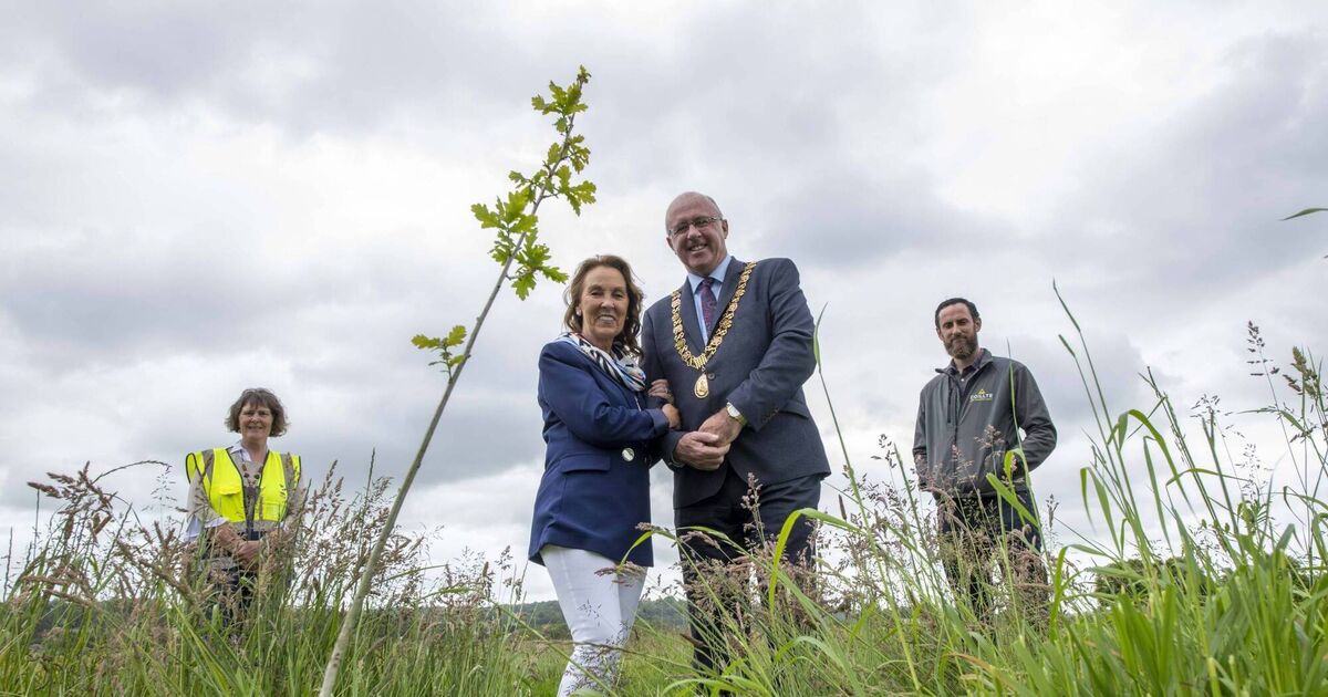 Former Lord Mayor and Lady Mayoress recall their path to love and marriage - Vimarsana News