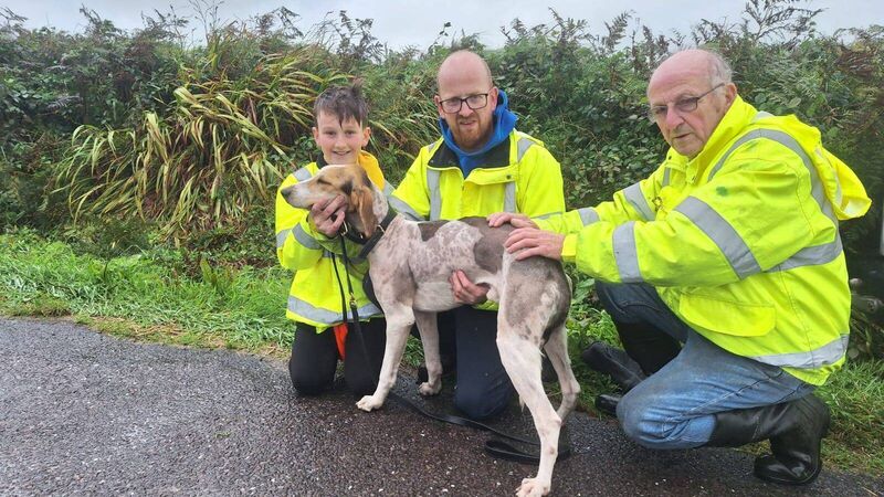 Historic All-Ireland Puppy Draghunt as Hannah Banna and Knock's Boy cannot be separated