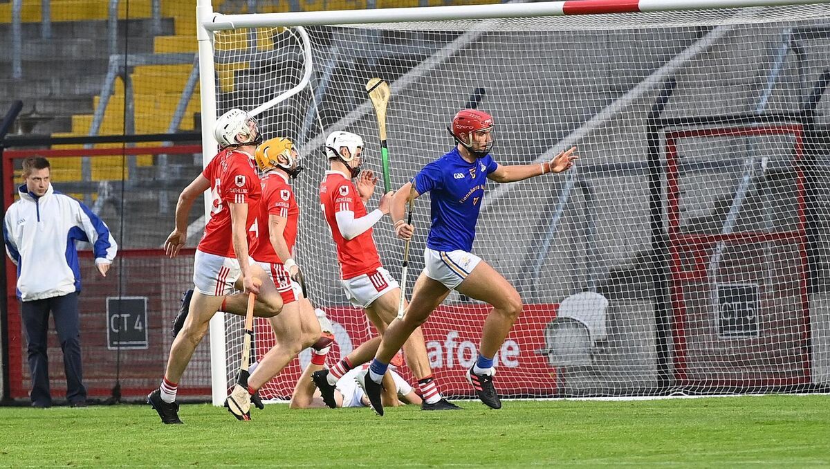 Brian Hayes celebrates after he scored an excellent goal for St Finbarr's against Charleville. Picture: Larry Cummins.