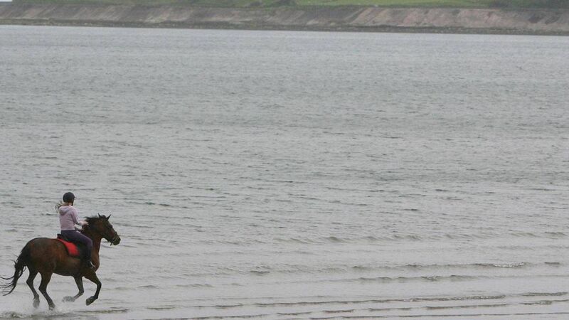 John Arnold: Yarn about yearning husband, pining for his sea goddess wife