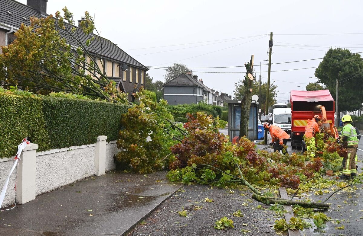 Cork City Council staff and members of Cork City Fire Brigade removing a tree which had to be cut down after a branch came down at Ballyphehane, Cork, during Storm Agnes. Picture Denis Minihane. Cork City Council staff and members of Cork City Fire Brigade removing a tree which had to be cut down after a branch came down at Ballyphehane, Cork, during Storm Agnes. Picture Denis Minihane.
