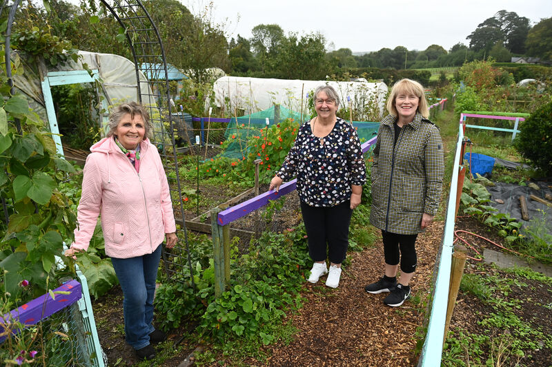 Pictured are Zwena McCullough, Rosie O'Riordan and Teresa Wills at the allotments. Pic Larry Cummins