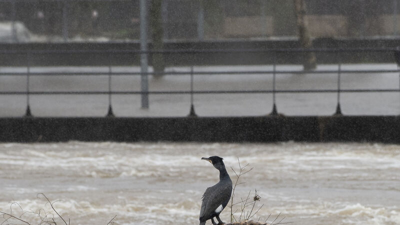 Flood warning for city centre as high tides approach Flood warning for city centre as high tides approach