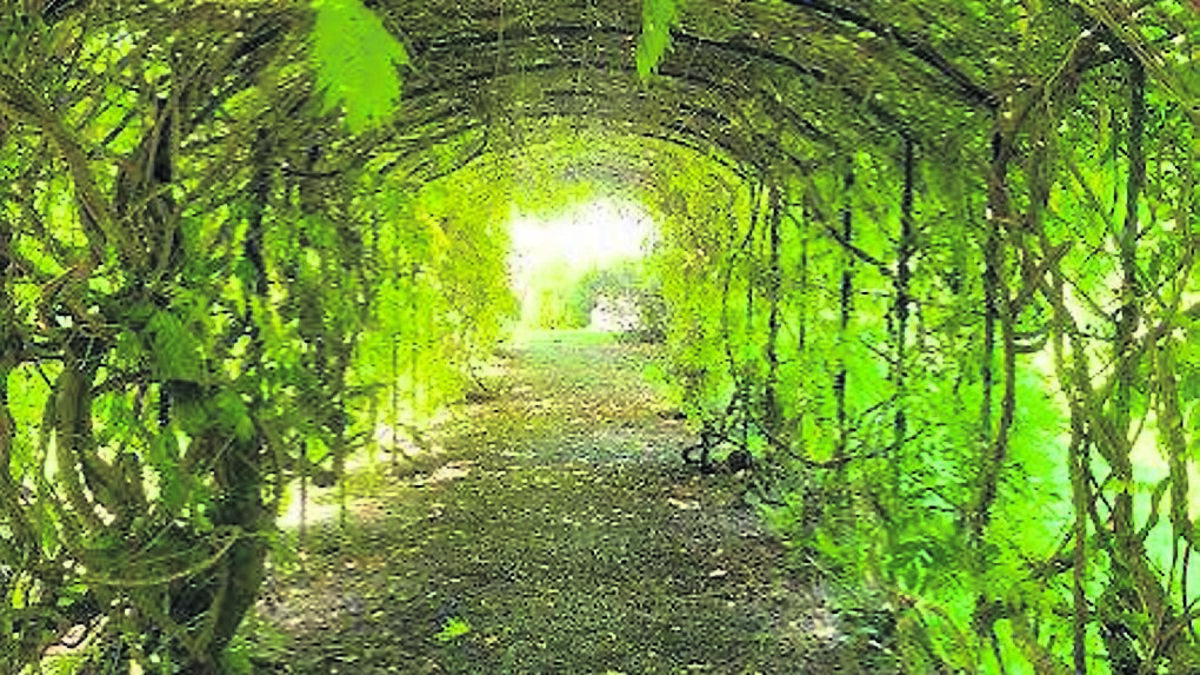 Here are another two stunning gardens worth a visit to