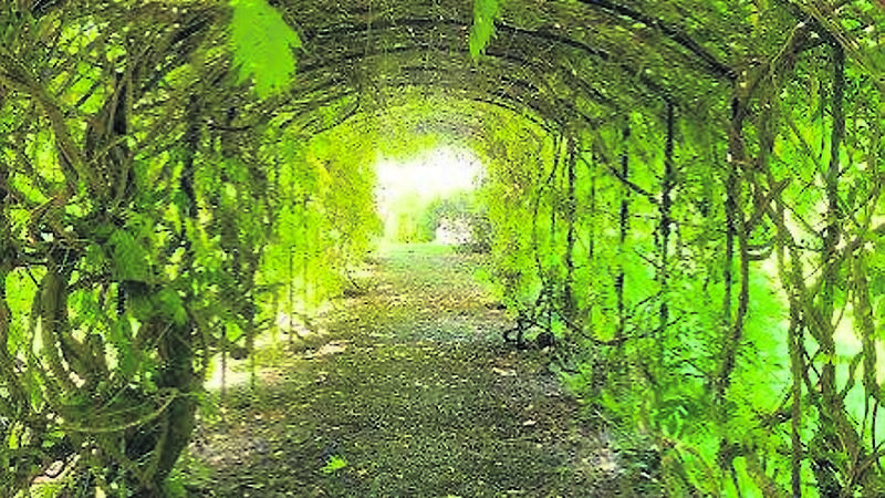 Here are another two stunning gardens worth a visit to