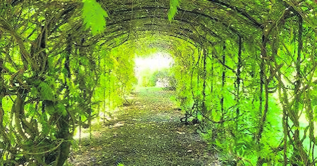 Here are another two stunning gardens worth a visit to - Vimarsana News