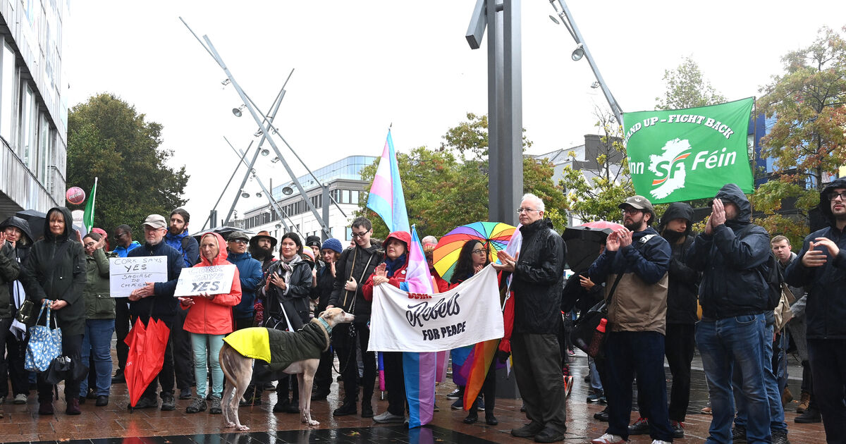 Pictures: Crowds brave the rain for rally in support of Cork city library workers - Vimarsana News