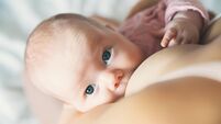 Baby eating mother's milk. Mother breastfeeding baby.