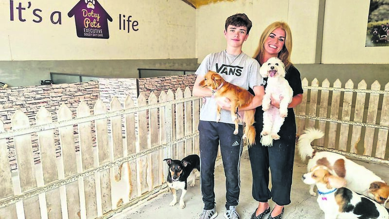 Cork woman: Running doggy day care is my dream job