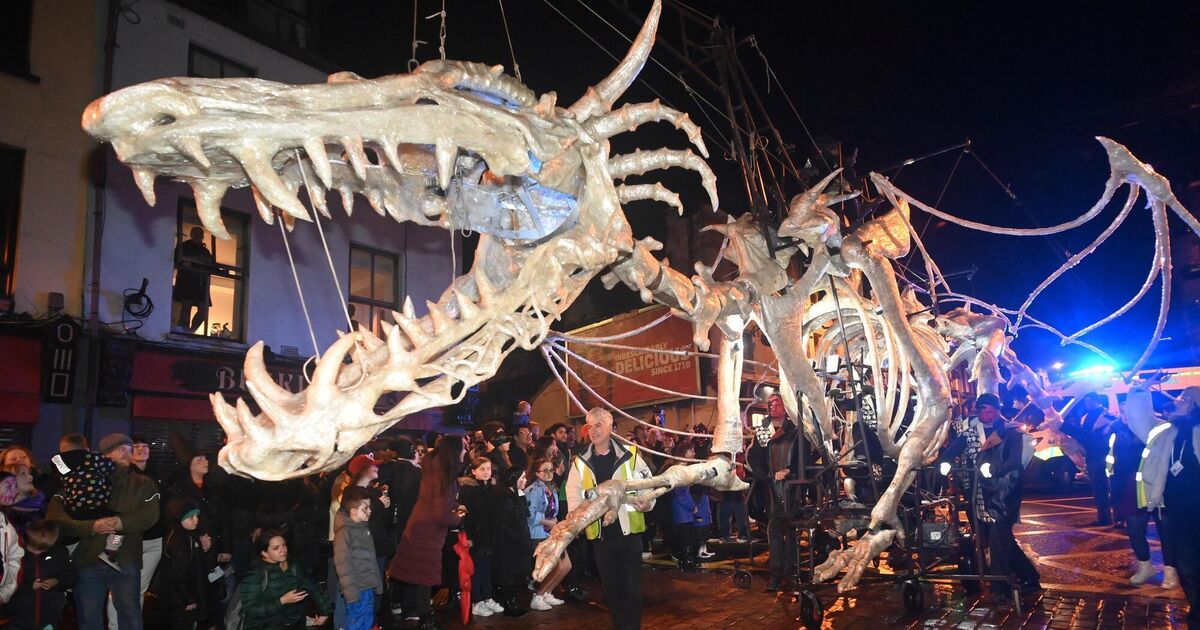 Dragon of Shandon set to prowl streets of Cork again - Vimarsana News