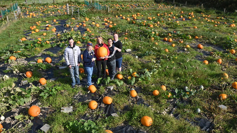 Pick-a-Pumpkin festival returns to Field of Dreams