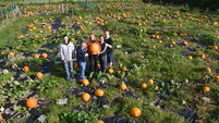 Pick-a-Pumpkin festival returns to Field of Dreams