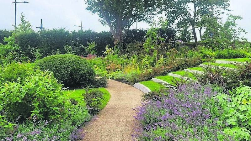 One of Munster's finest gardens has links to the 'Black Stuff'