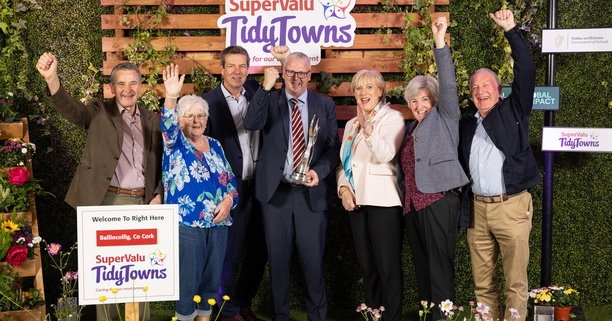 'It is a real team effort': Cork town named among big winners at TidyTowns awards - Vimarsana News