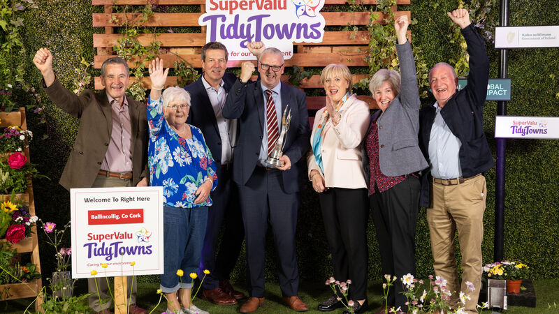 'It is a real team effort': Cork town named among big winners at TidyTowns awards