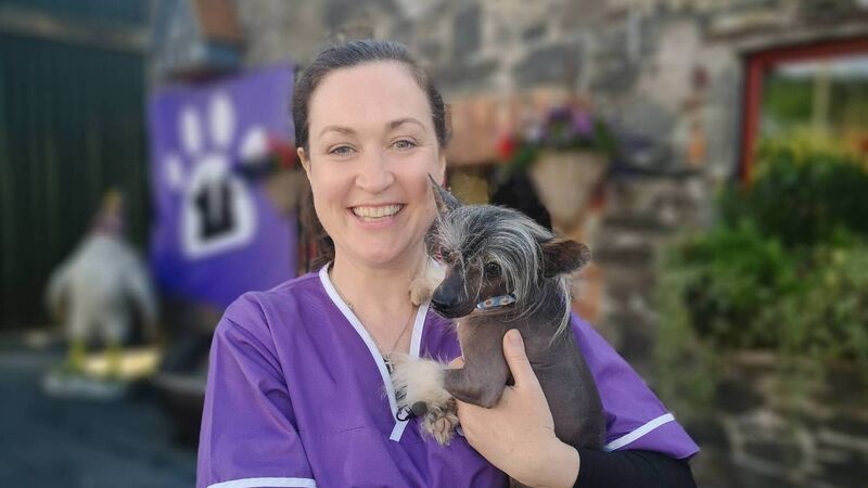 Cork vet back on screen for ‘Peataí’