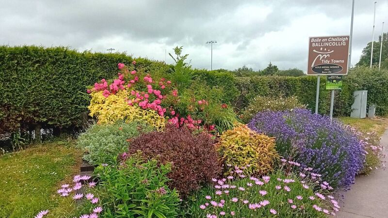 Ballincollig Tidy Towns win is dedicated to volunteer stalwart Tony
