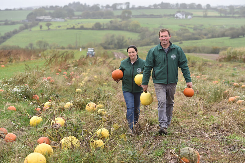 Sandra and Joe Burns picking pumpkins at Joe's Farm, Killeagh, East Cork. Picture Dan Linehan