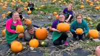 Best spots in Cork for Pumpkin picking