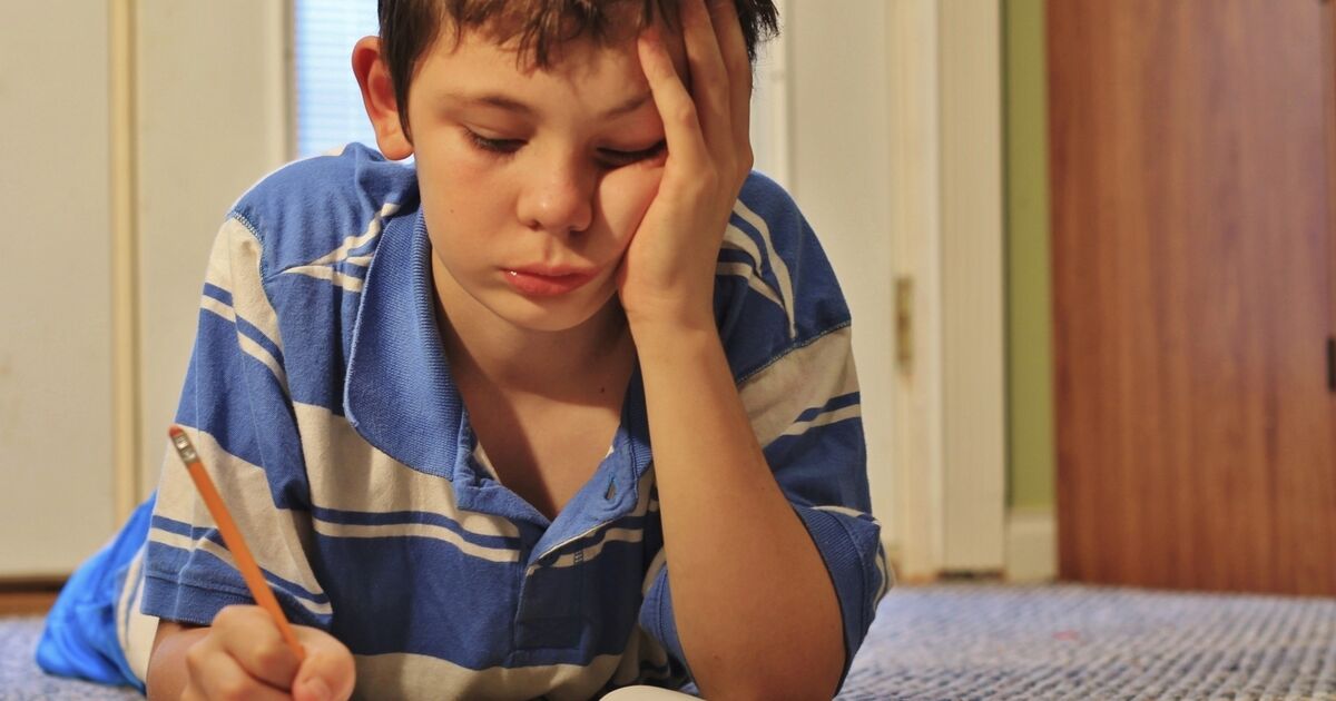 We are asking for Dyslexia Rights to be respected -  including the rights to assessment, identity and support - Vimarsana News
