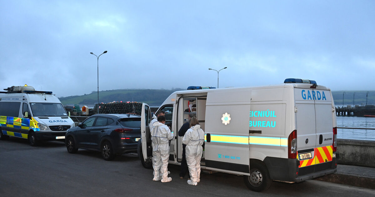 Murder investigation: Gardaí continue to search home of Tina Satchwell - Vimarsana News