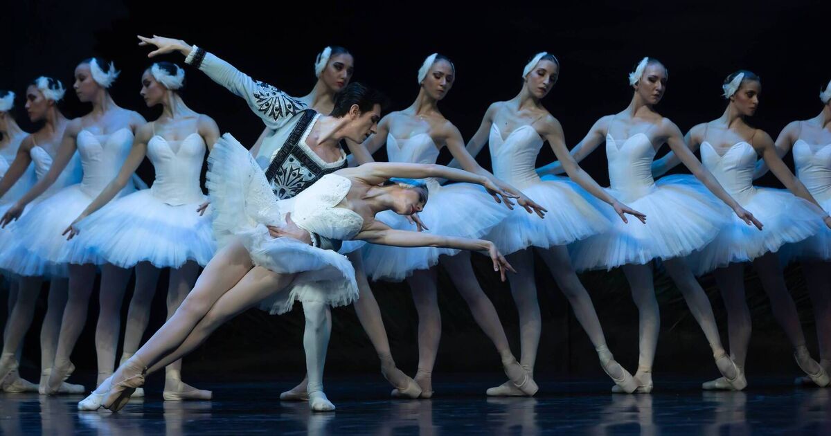 Swan Lake show to mark 30 years of Cork City Ballet - Vimarsana News