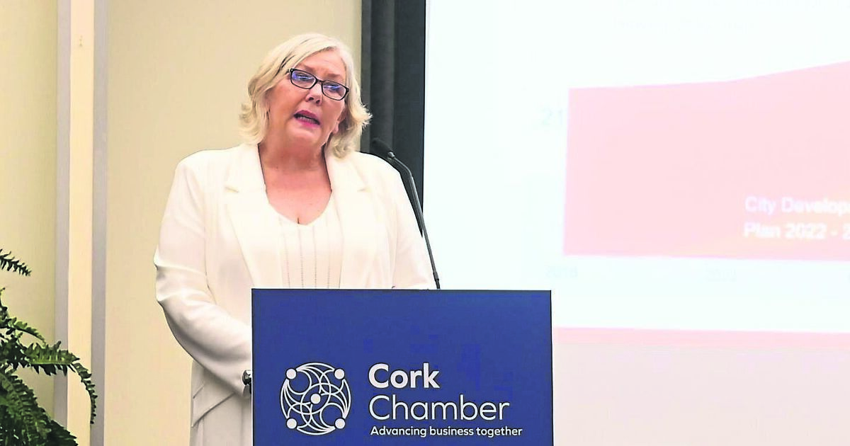 Council chief: Development of Cork city's medieval quarter will be 'transformative' - Vimarsana News