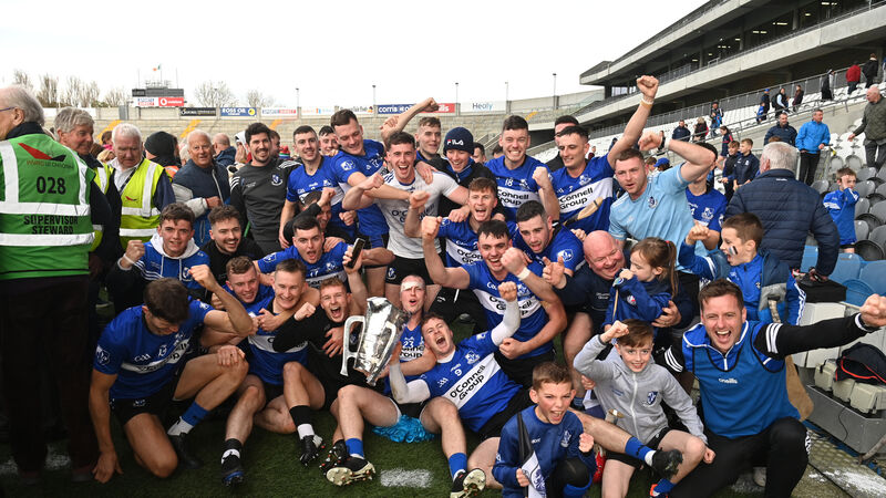 Premier SHC: This one's for you, Teddy - Sarsfields are Cork hurling champions again