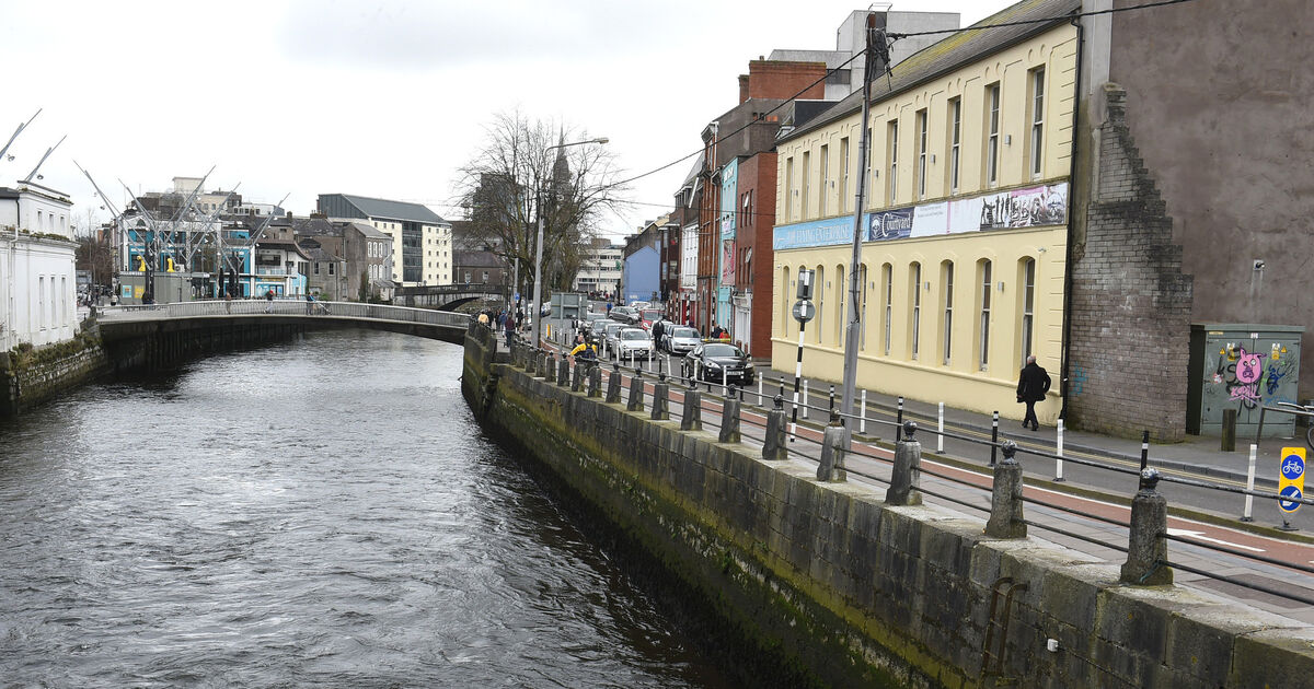 Group of dolphins in the River Lee draw large crowds - Vimarsana News