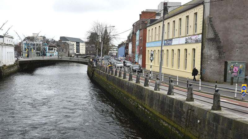 Group of dolphins in the River Lee draw large crowds