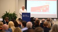 Public transport important in future-proofing city centre, council chief says