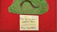 A lock of Oscar Wilde’s hair is to be sold at auction