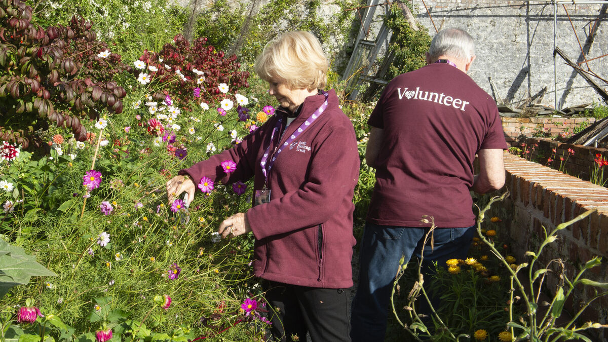 'The beating heart of Fota House': Irish Heritage Trust volunteers praised for work at historic property
