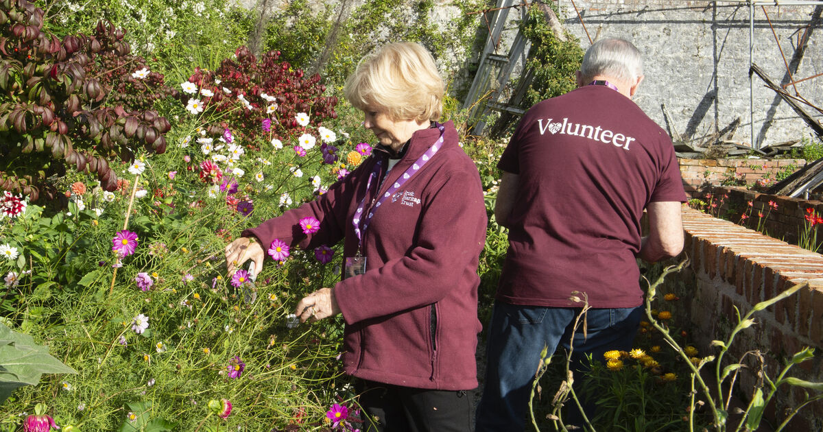 'The beating heart of Fota House': Irish Heritage Trust volunteers praised for work at historic property - Vimarsana News