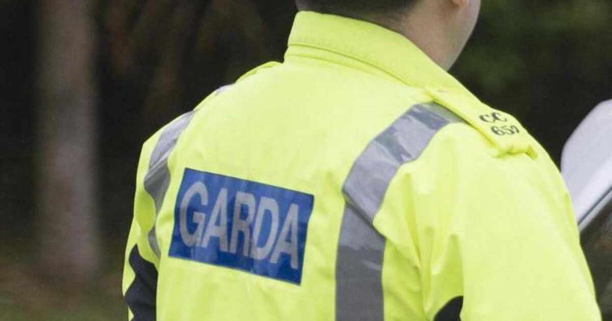 Search continues in Cork city after incident on River Lee - Vimarsana News