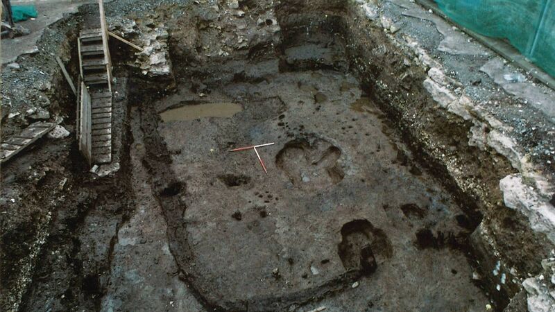 Archaeologist provides insight into lives of first Corkonians
