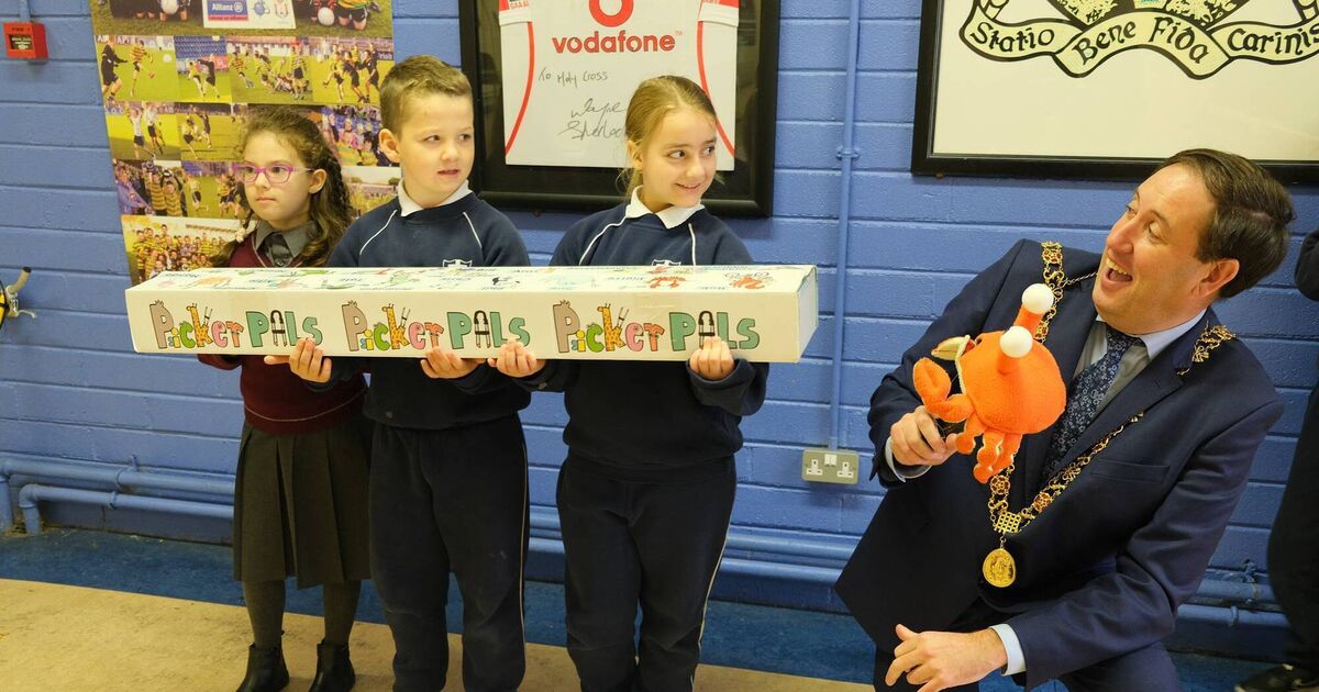 Lord Mayor launches Picker Pals 2023 with pupils of Scoil na Croise Naofa, Mahon - Vimarsana News