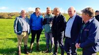 West Cork farmers seek more time to prove effectiveness of measures to improve water quality