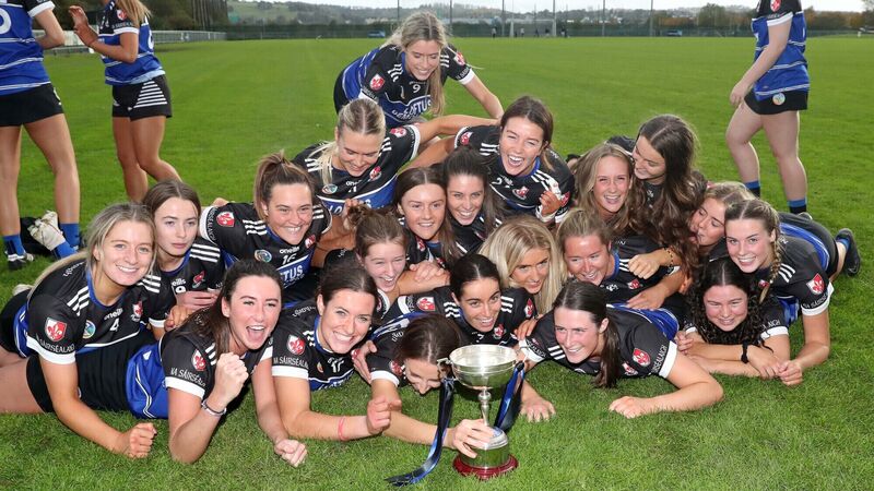 Sarsfields soar to camogie glory by dethroning Seandún