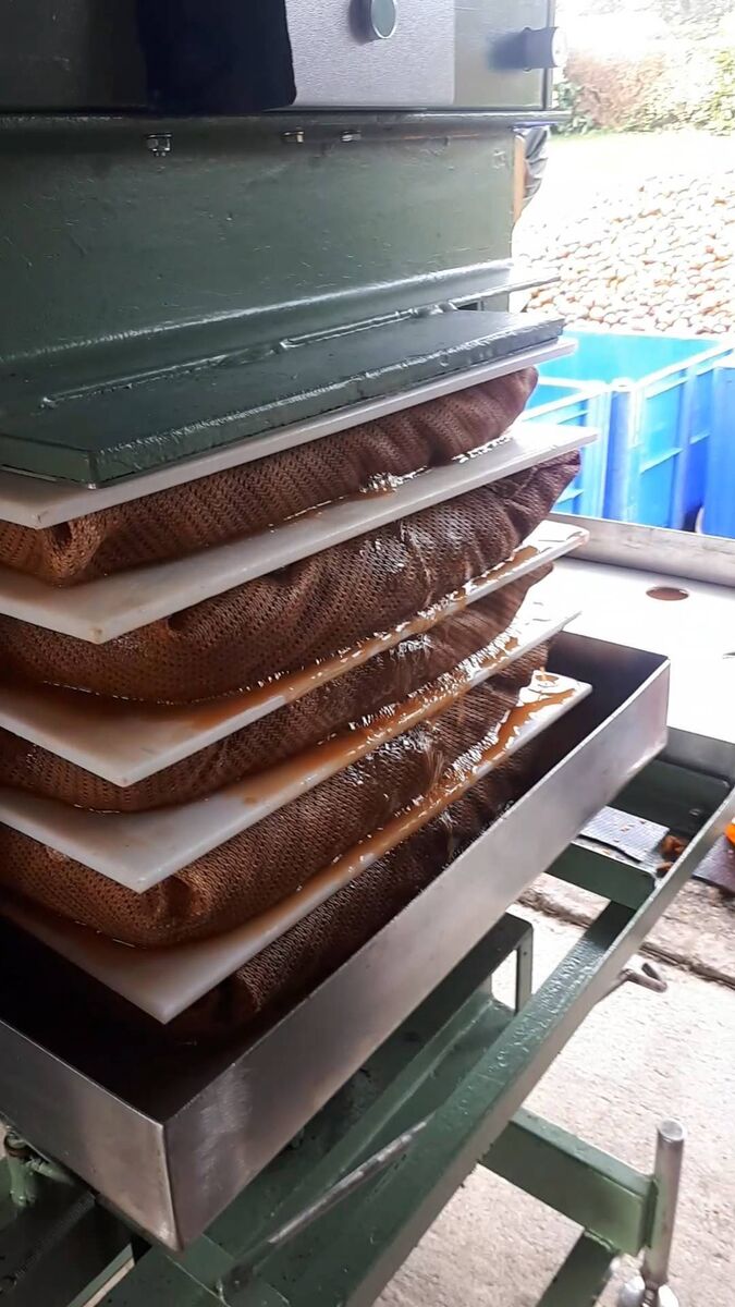 The pressing process.