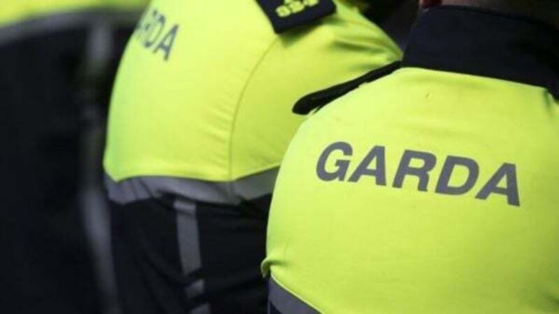 Explosive discovered in field in operation targeting Limerick organised crime Explosive discovered in field in operation targeting Limerick organised crime