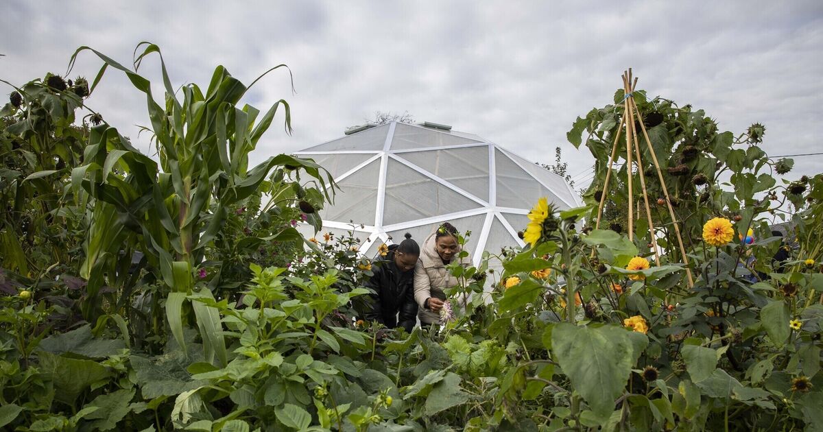 Geodome unveiled at Cork city International Garden - Vimarsana News