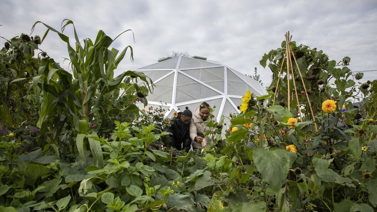 Geodome unveiled at Cork city International Garden