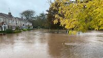 Call to use nature in Cork flood defence