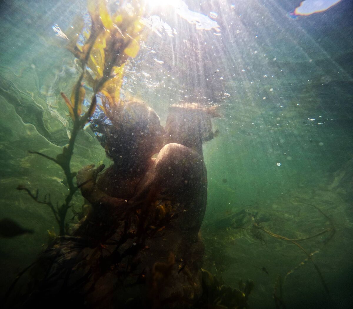 Unseen by Croí Glan. Picture: Tomasz Madajczak